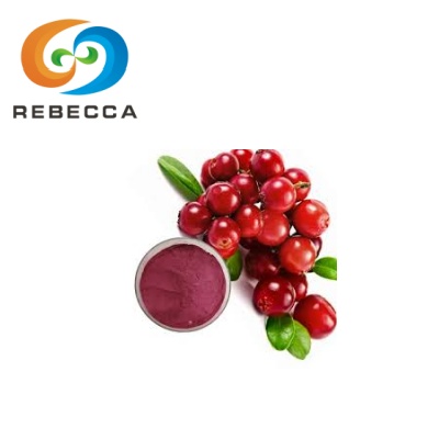 Lingonberry Fruit Extract